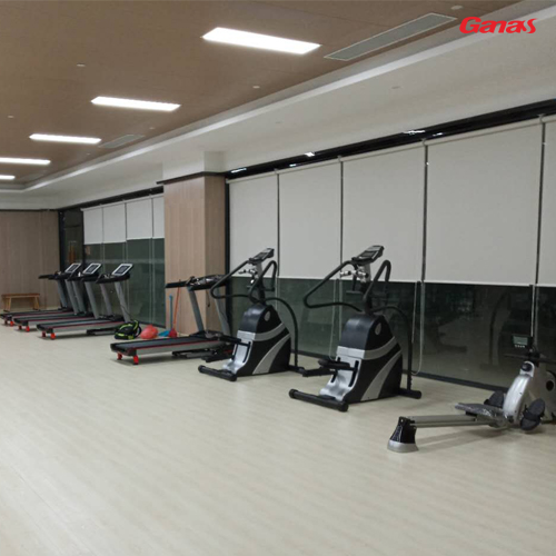 湛江盛和园地产会所案例 广州健身器材厂家批发
