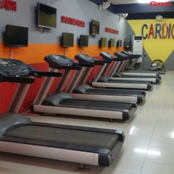 沙特客户来康宜采购商用健身房器材