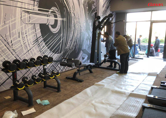 山东省平阴县碧桂园健身房图片