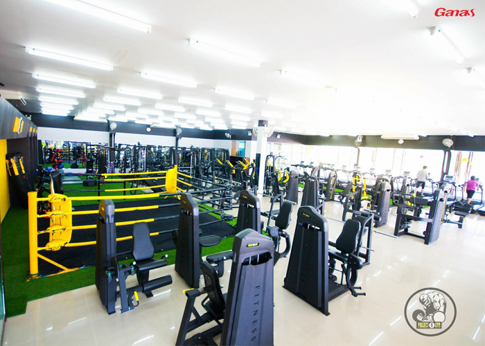 泰国客户健身房 - 康宜健身器材案例
