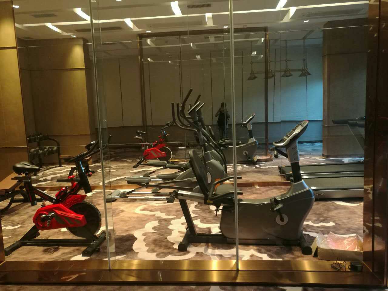 山东东平碧桂园健身房 广州康宜健身器材厂案例展示 山东东平碧桂园健身房 广州康宜健身器材厂案例展示