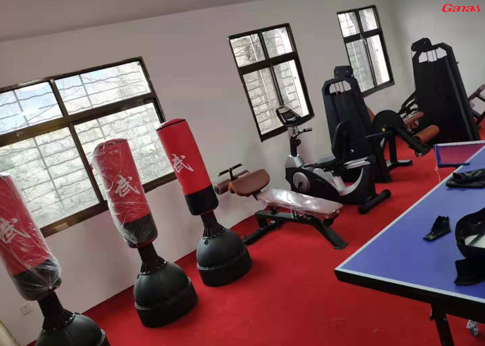 西藏林芝地区米林县丹娘乡政府健身房案例