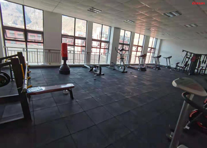 西藏自治区拉萨市城西区盛域滨江单位健身房