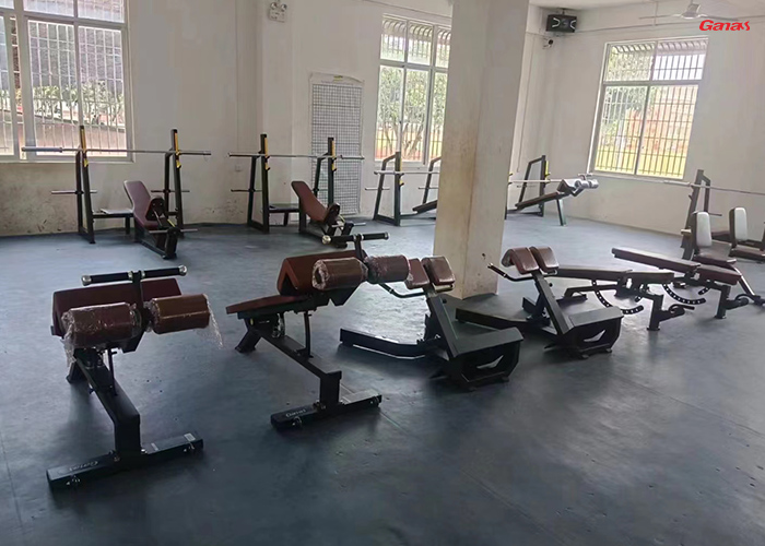 学校健身房器材清单