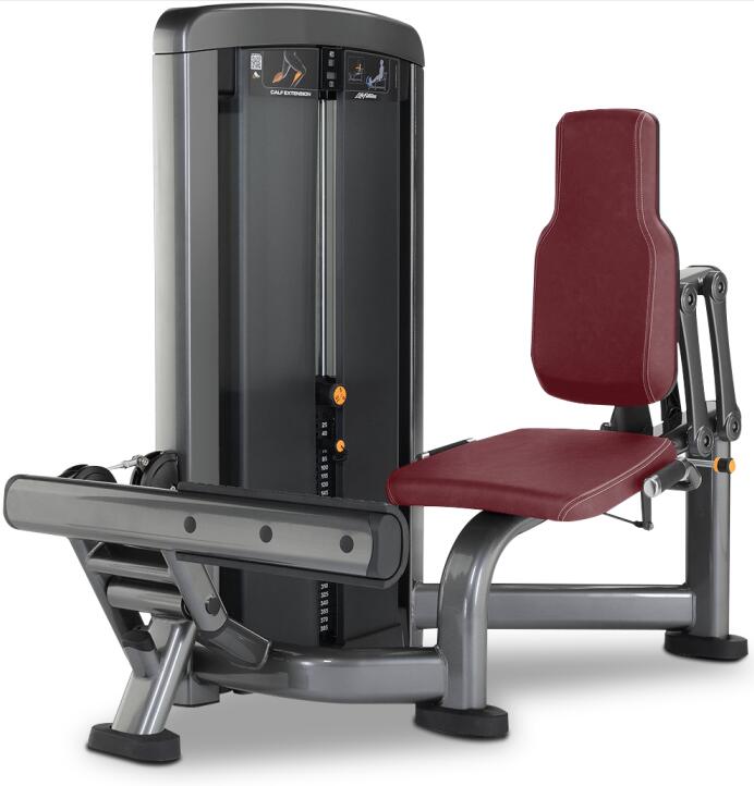 Seated Calf Extension.jpg