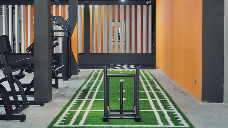 柬埔寨1500平综合体育 (3).jpg